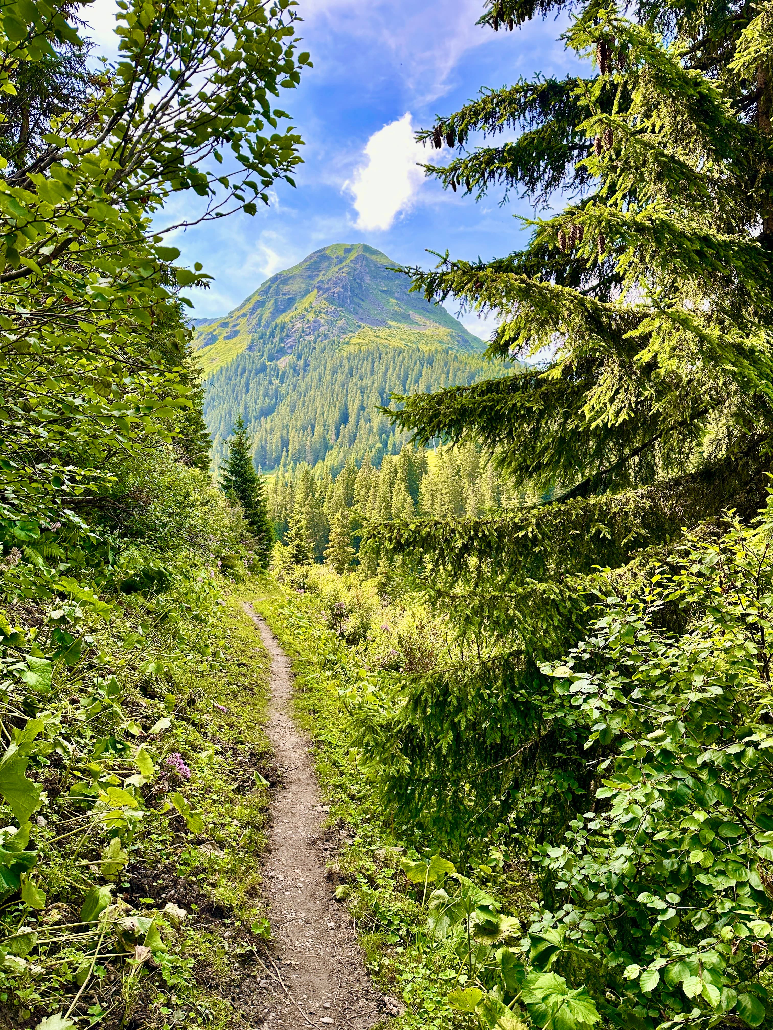A walking trail in the Swiss mountains